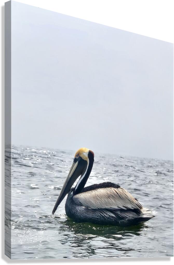 2455804 :: Giclée Stretched Canvas Print