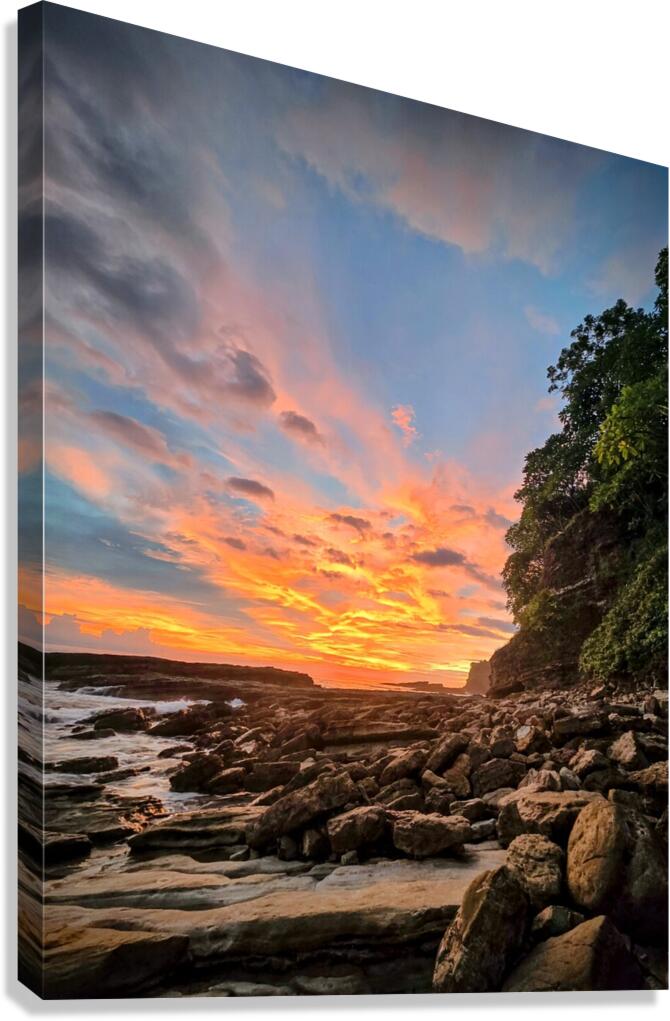 2463371 :: Giclée Stretched Canvas Print