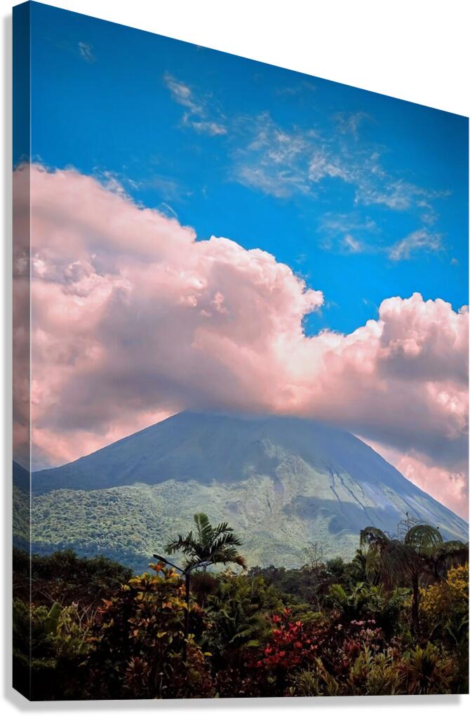 2465994 :: Giclée Stretched Canvas Print