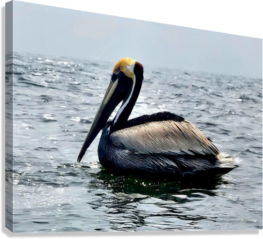 2476955 :: Giclée Stretched Canvas Print