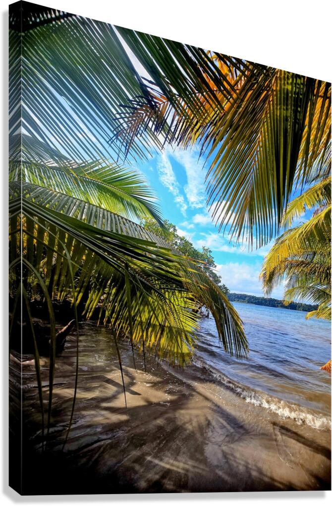 2494834 :: Giclée Stretched Canvas Print