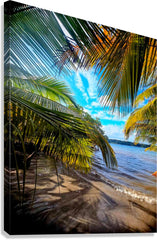 2494834 :: Giclée Stretched Canvas Print