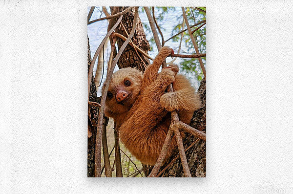 2441431 :: Brushed Metal Print