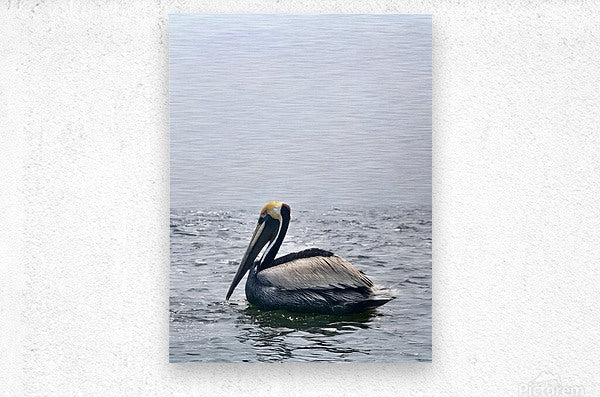 2455804 :: Brushed Metal Print