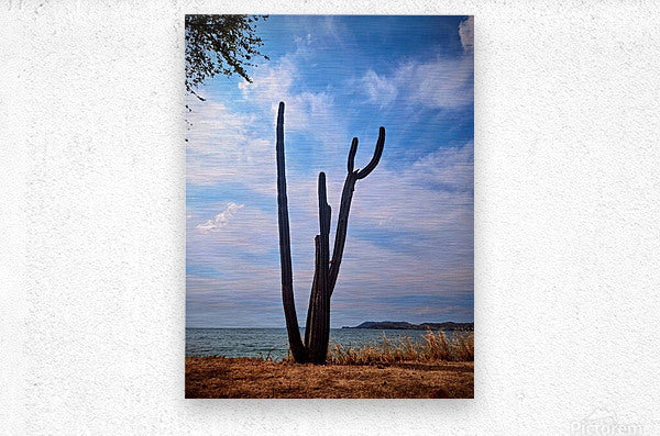 2461170 :: Brushed Metal Print