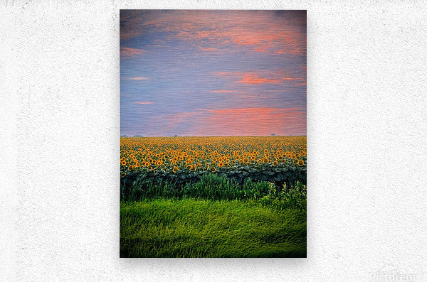 2465575 :: Brushed Metal Print