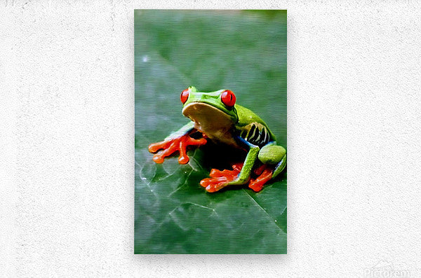 2466051 :: Brushed Metal Print