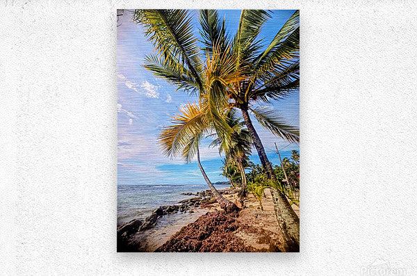 2467865 :: Brushed Metal Print