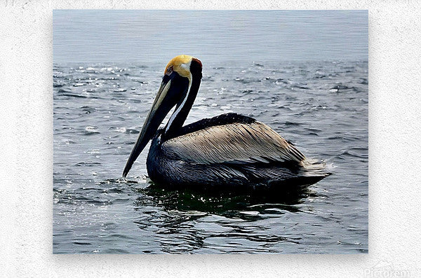 2476955 :: Brushed Metal Print