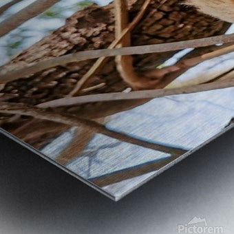 2441431 :: Brushed Metal Print