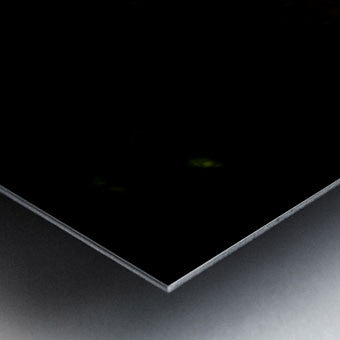2460384 :: Brushed Metal Print