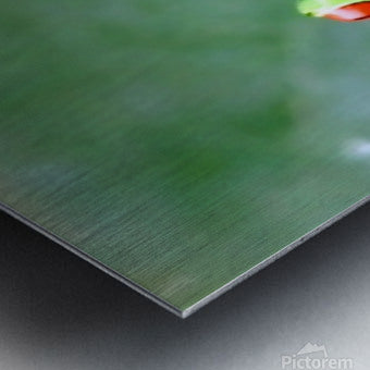 2466051 :: Brushed Metal Print