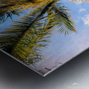 2467865 :: Brushed Metal Print