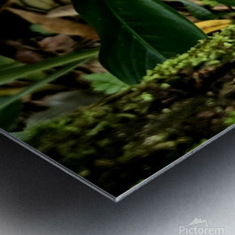 2470978 :: Brushed Metal Print