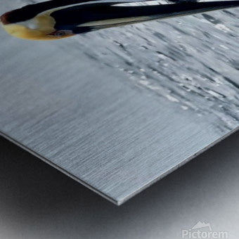 2476955 :: Brushed Metal Print