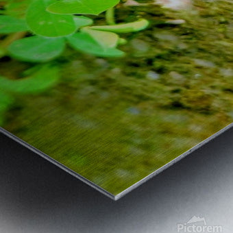 2480635 :: Brushed Metal Print