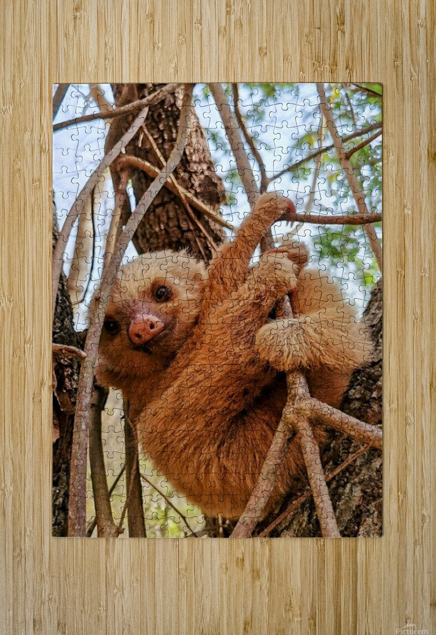 2441431 :: Puzzle Print