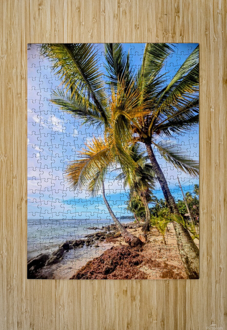2467865 :: Puzzle Print