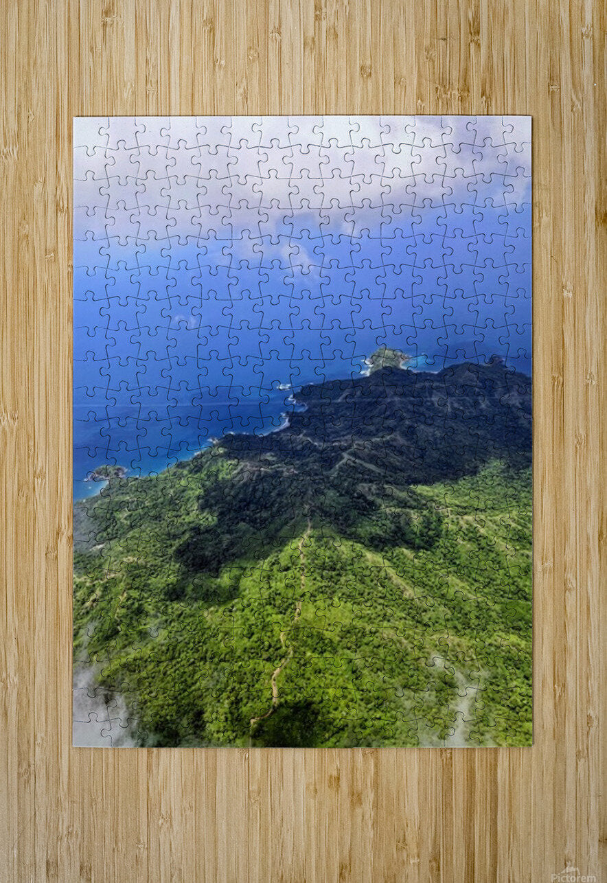 2467876 :: Puzzle Print