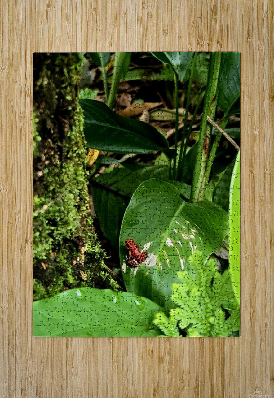 2470978 :: Puzzle Print
