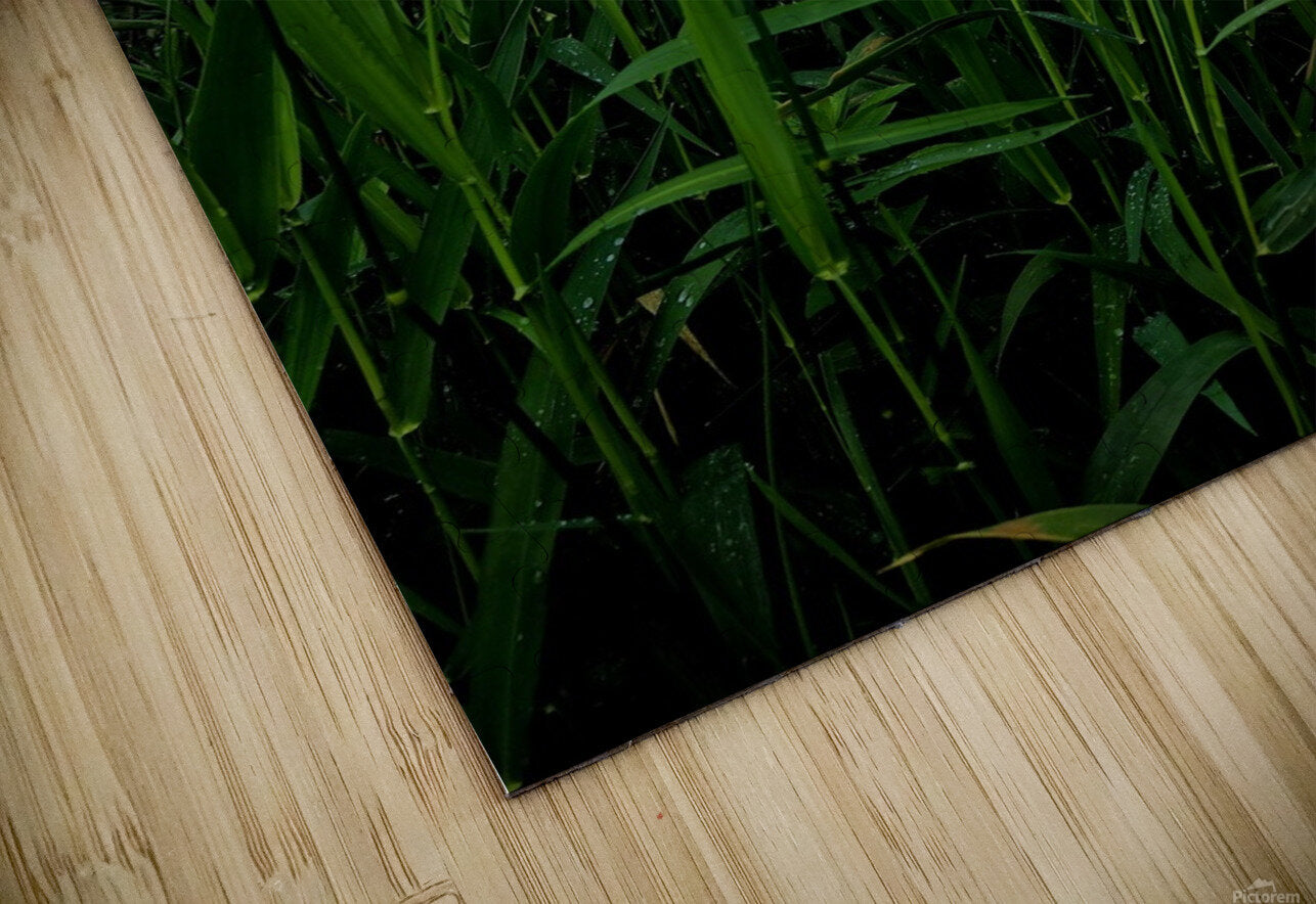 2162592 :: Puzzle Print