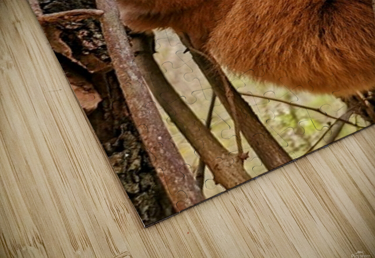 2441431 :: Puzzle Print