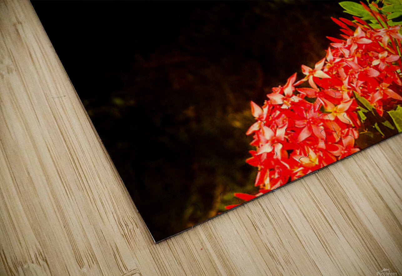 2460384 :: Puzzle Print