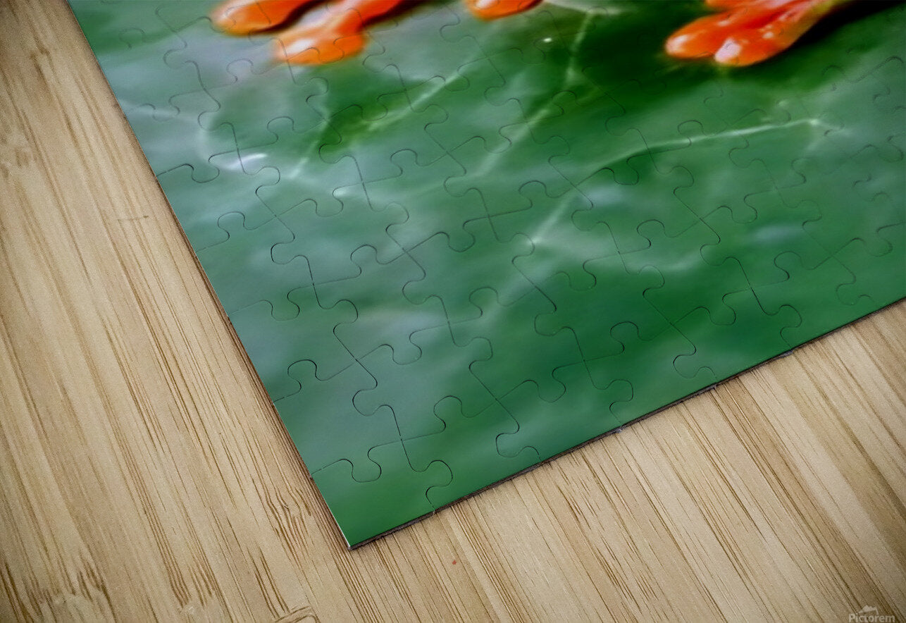 2466051 :: Puzzle Print