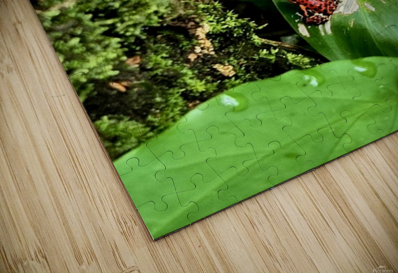 2470978 :: Puzzle Print