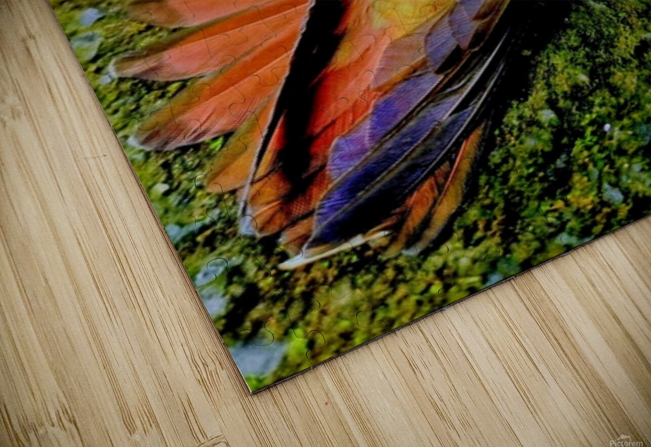 2480635 :: Puzzle Print