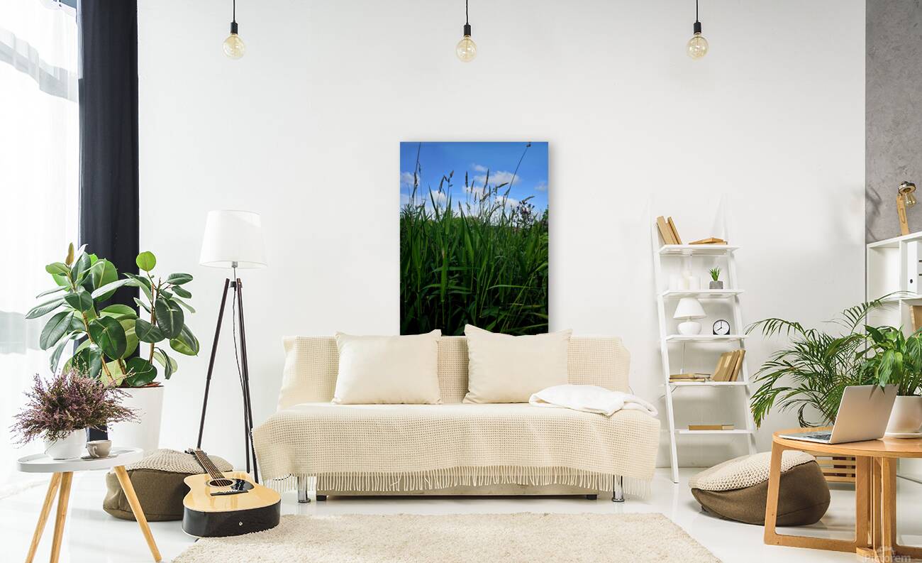 Giclée Stretched Canvas Print