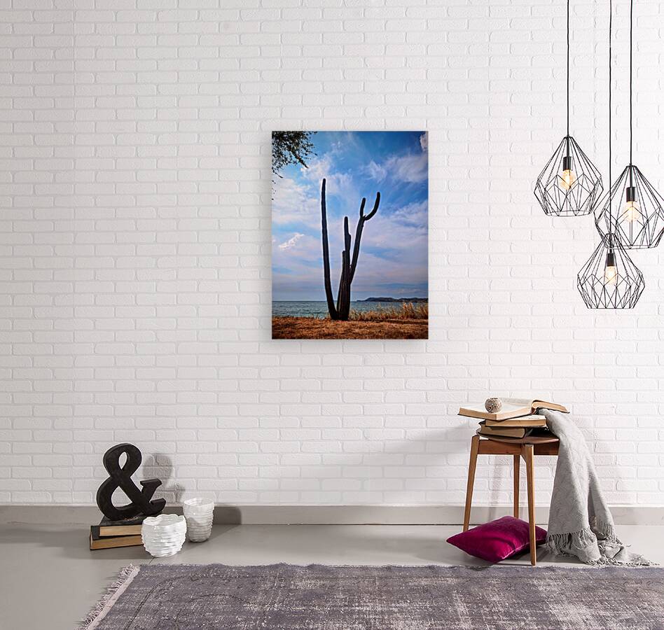 2461170 :: Giclée Stretched Canvas Print