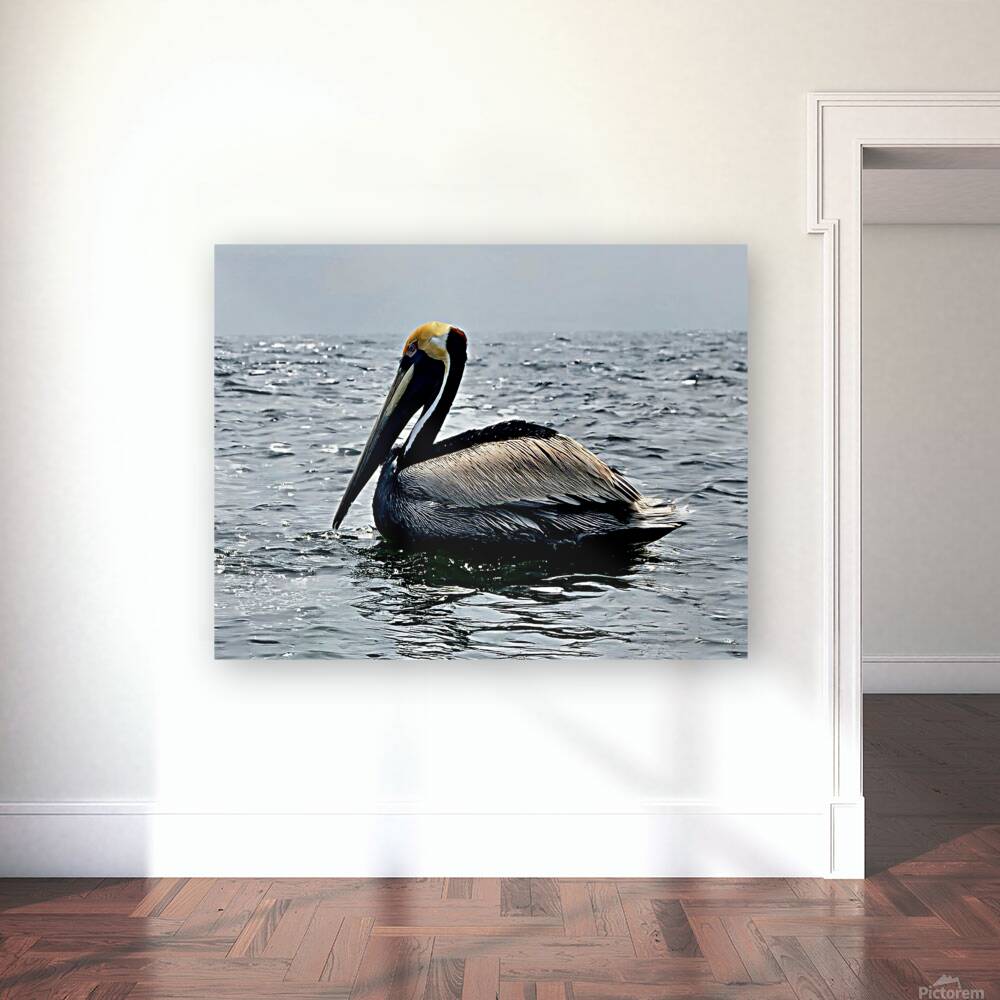 2476955 :: Giclée Stretched Canvas Print