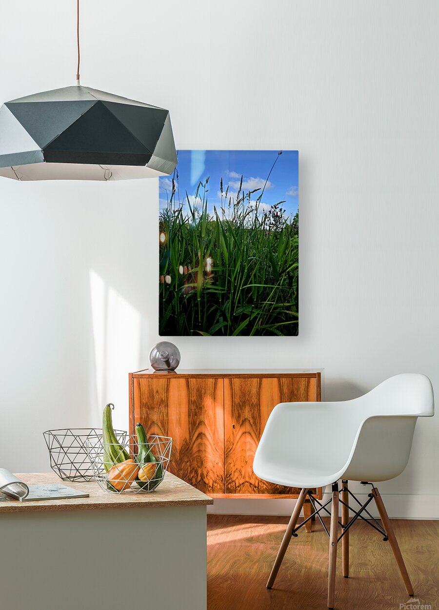 2162592 :: HD Sublimation Metal Print