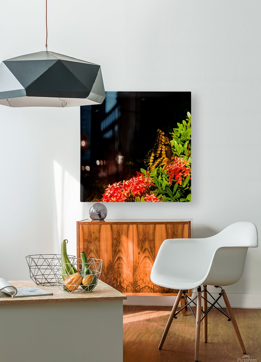 2460384 :: HD Sublimation Metal Print