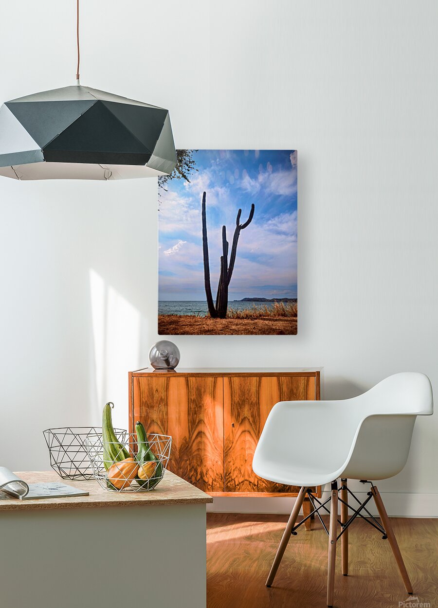 2461170 :: HD Sublimation Metal Print