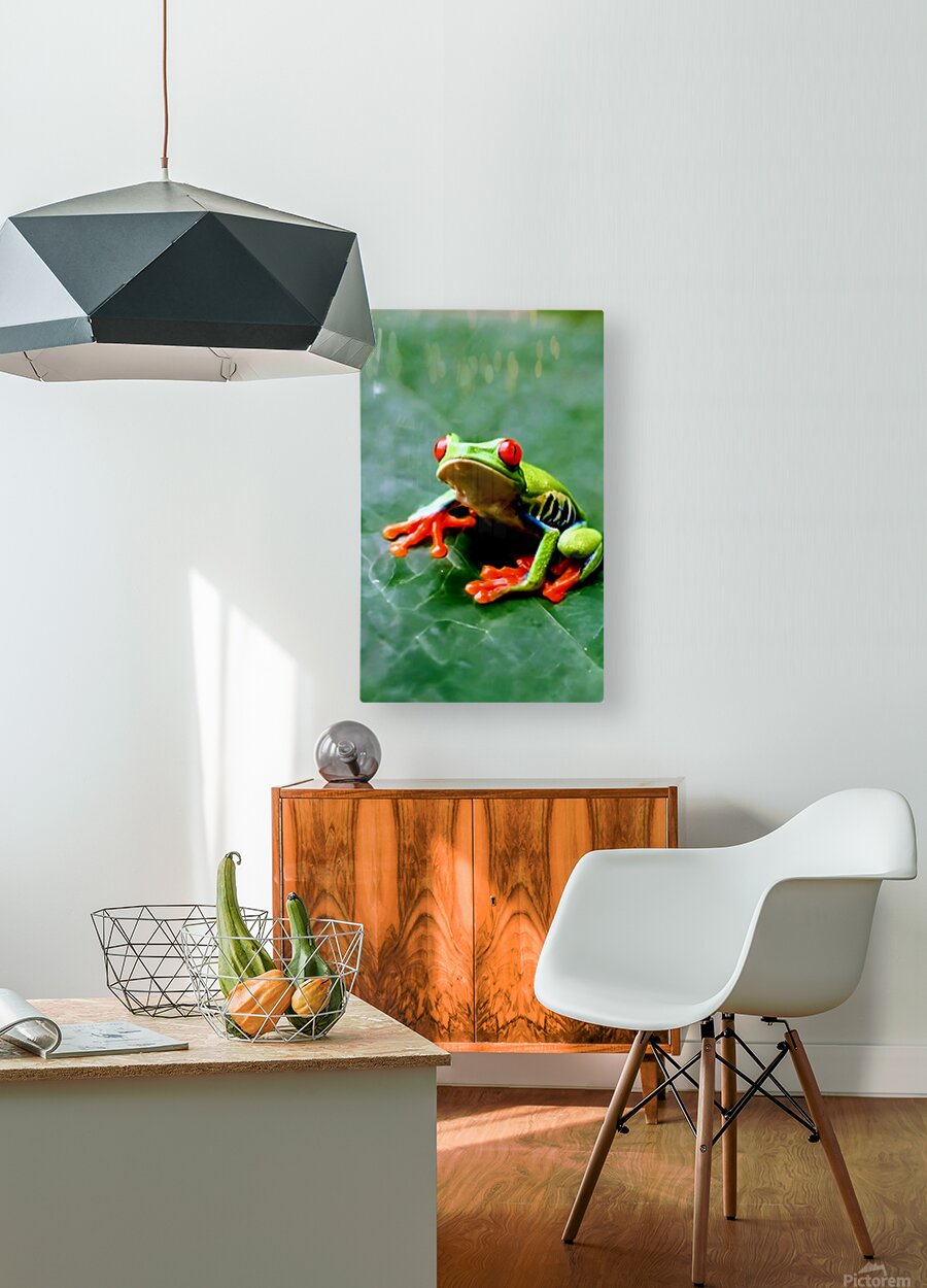 2466051 :: HD Sublimation Metal Print