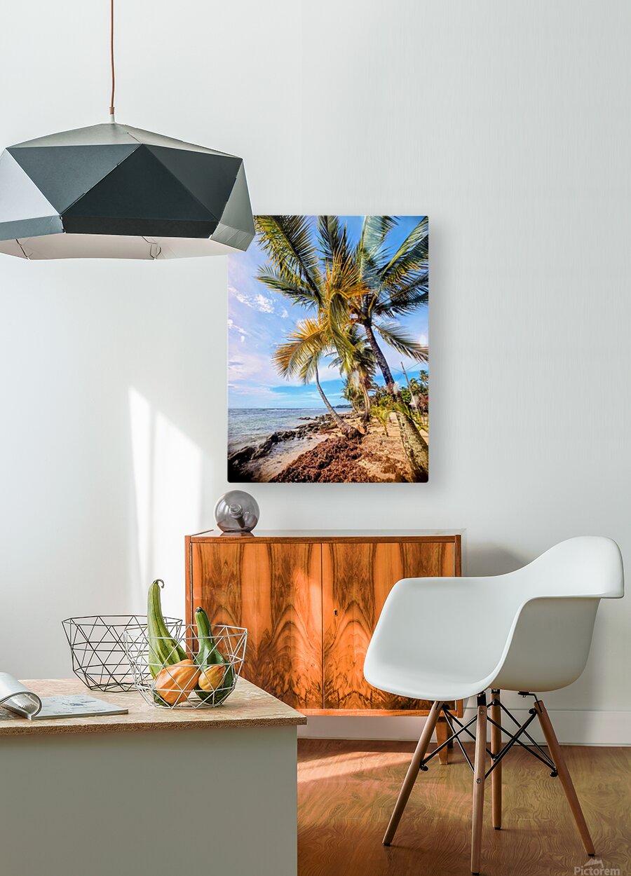 2467865 :: HD Sublimation Metal Print