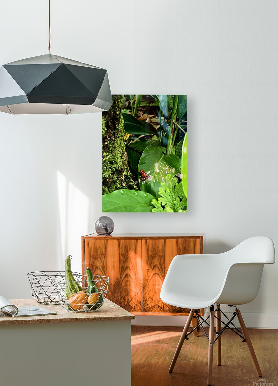 2470978 :: HD Sublimation Metal Print