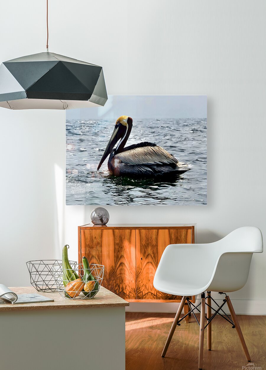 2476955 :: HD Sublimation Metal Print