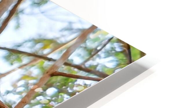 2441431 :: HD Sublimation Metal Print