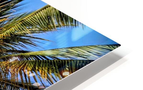 2467865 :: HD Sublimation Metal Print