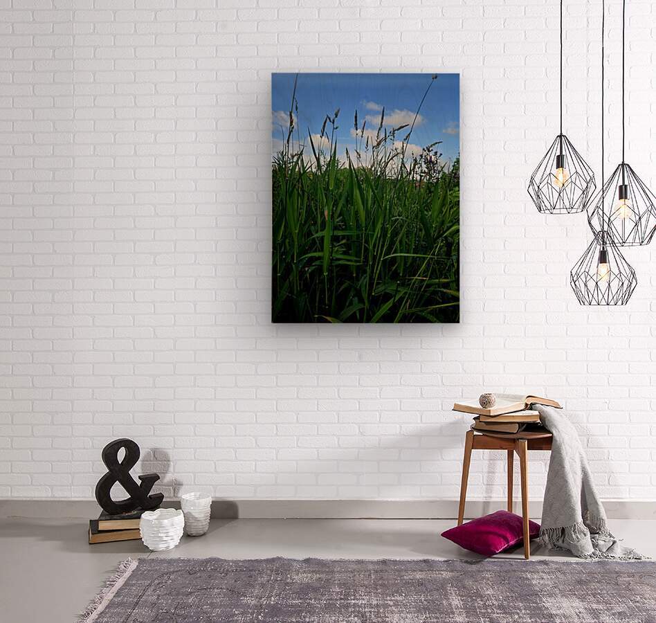 2162592 :: Wood Print