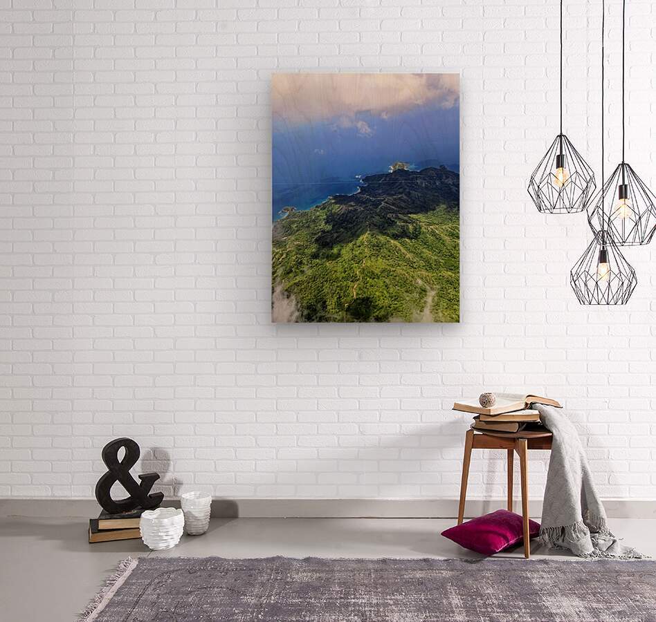2467876 :: Wood Print
