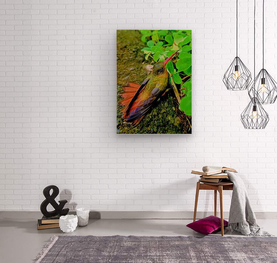 2480635 :: Wood Print