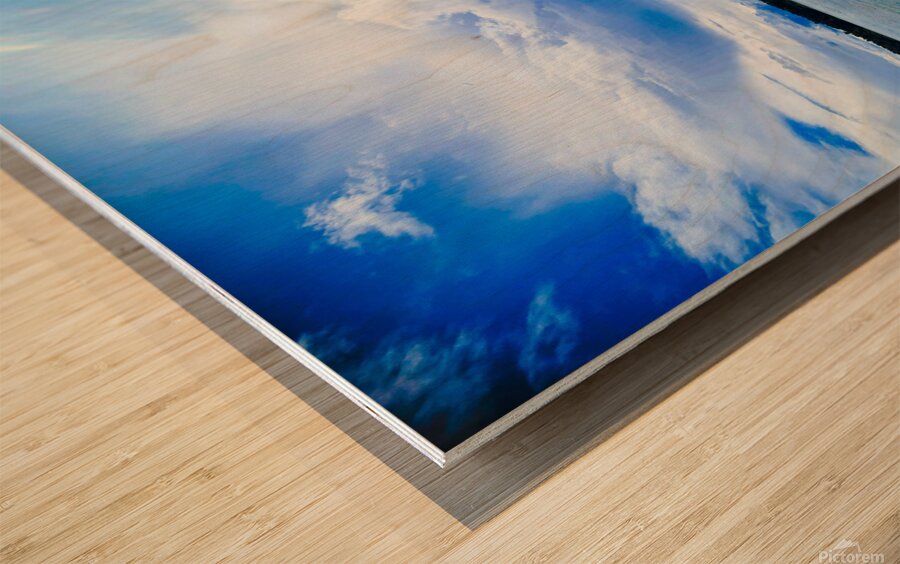 2159746 :: Wood Print