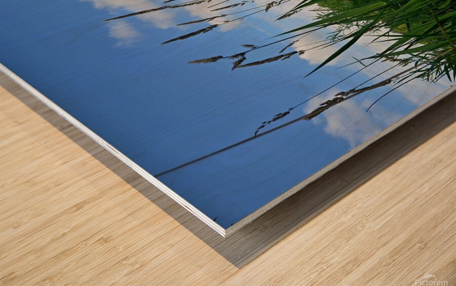 2162592 :: Wood Print
