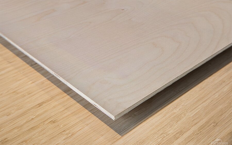 2455804 :: Wood Print