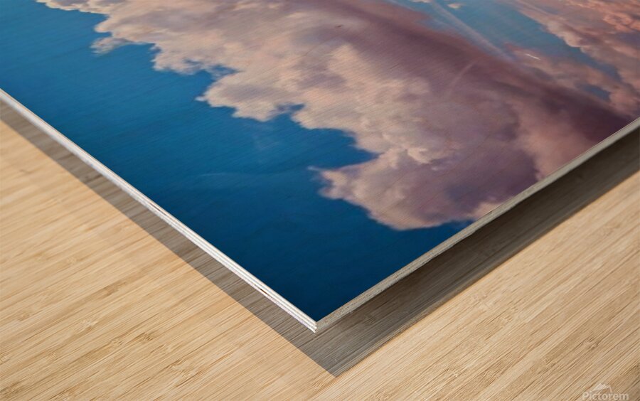 2455807 :: Wood Print