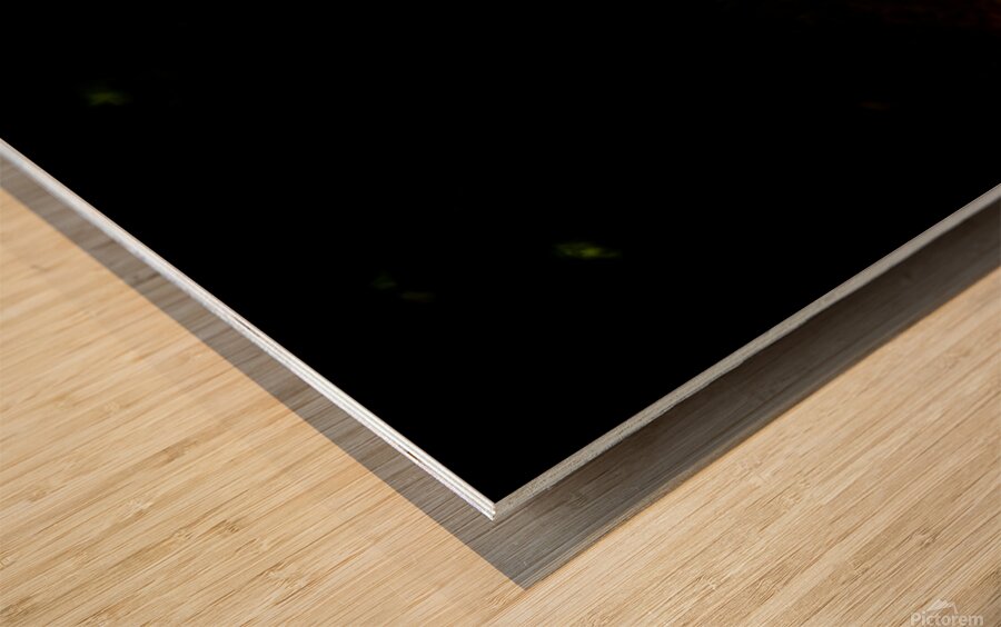 2460384 :: Wood Print